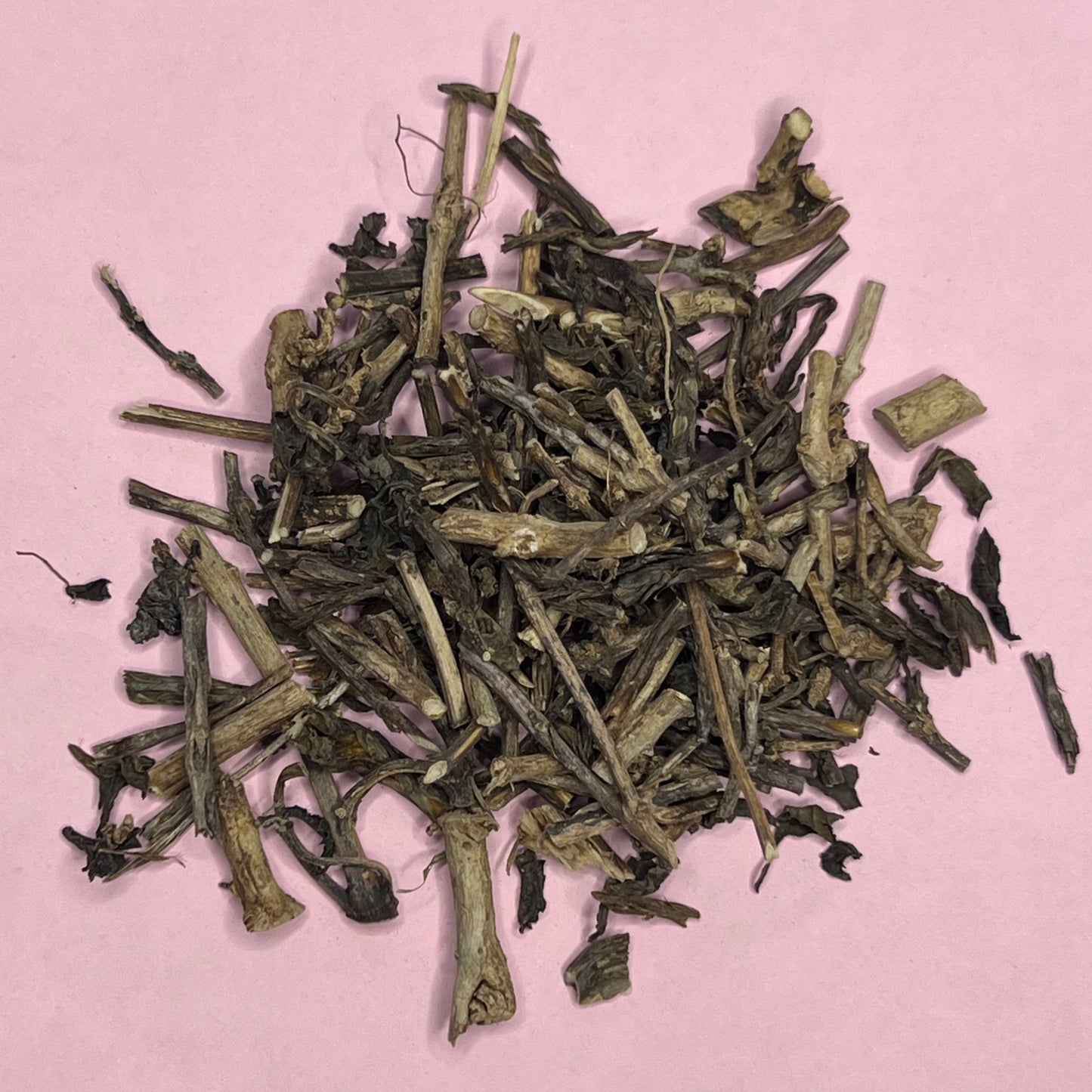 blue vervain