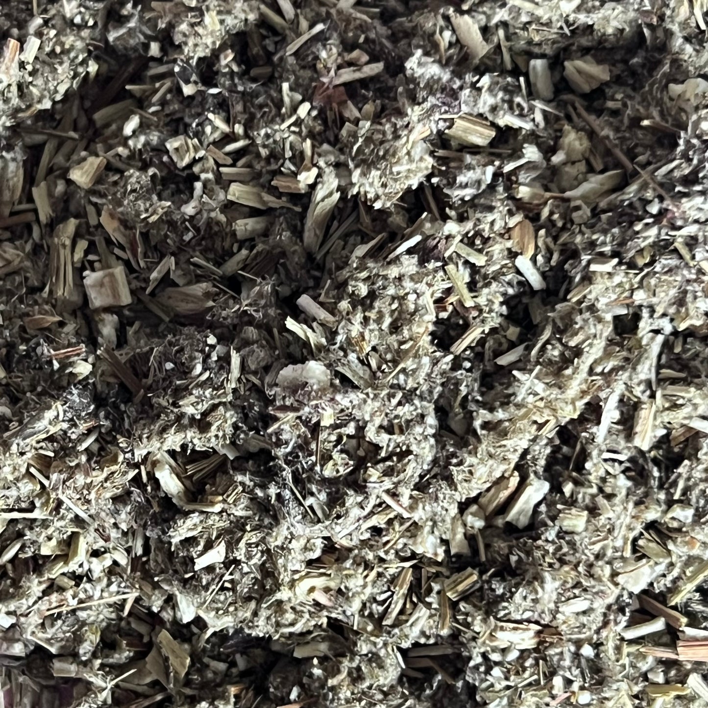 mugwort