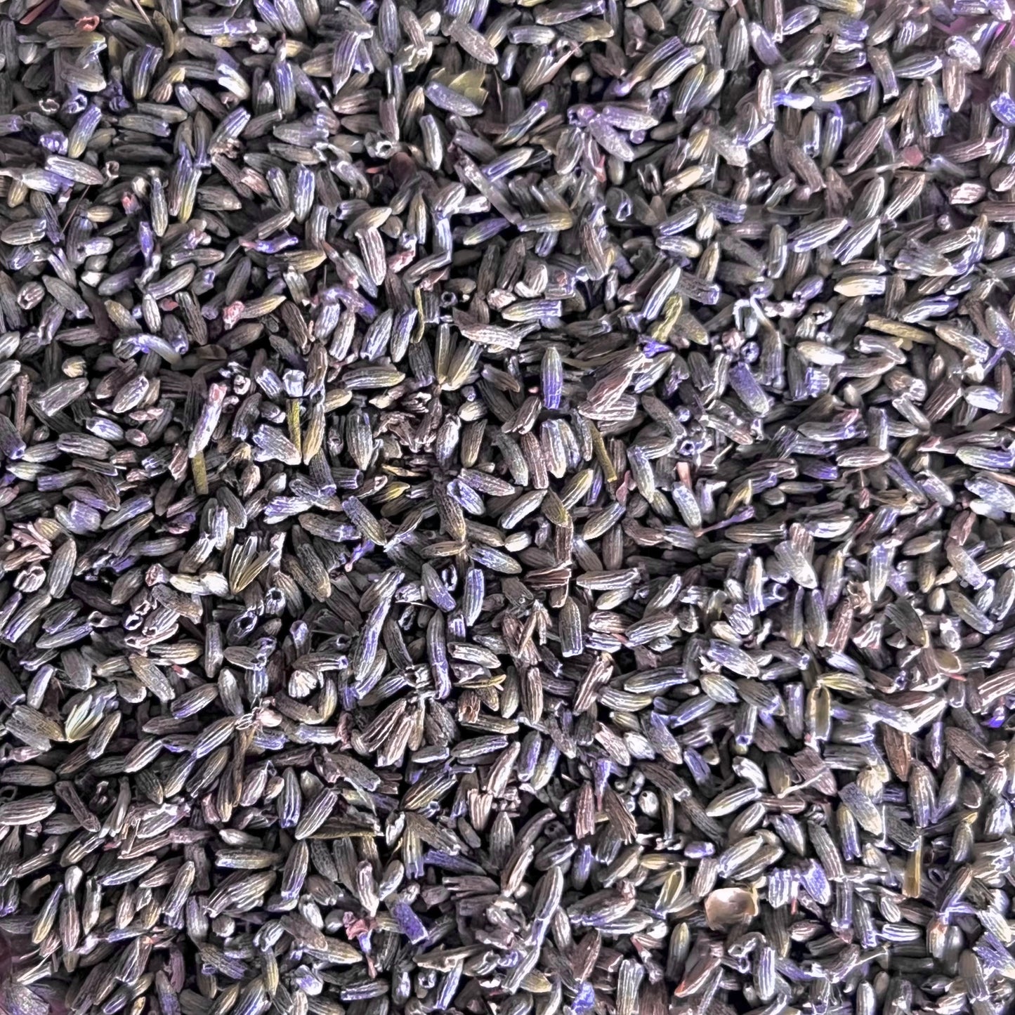 lavender