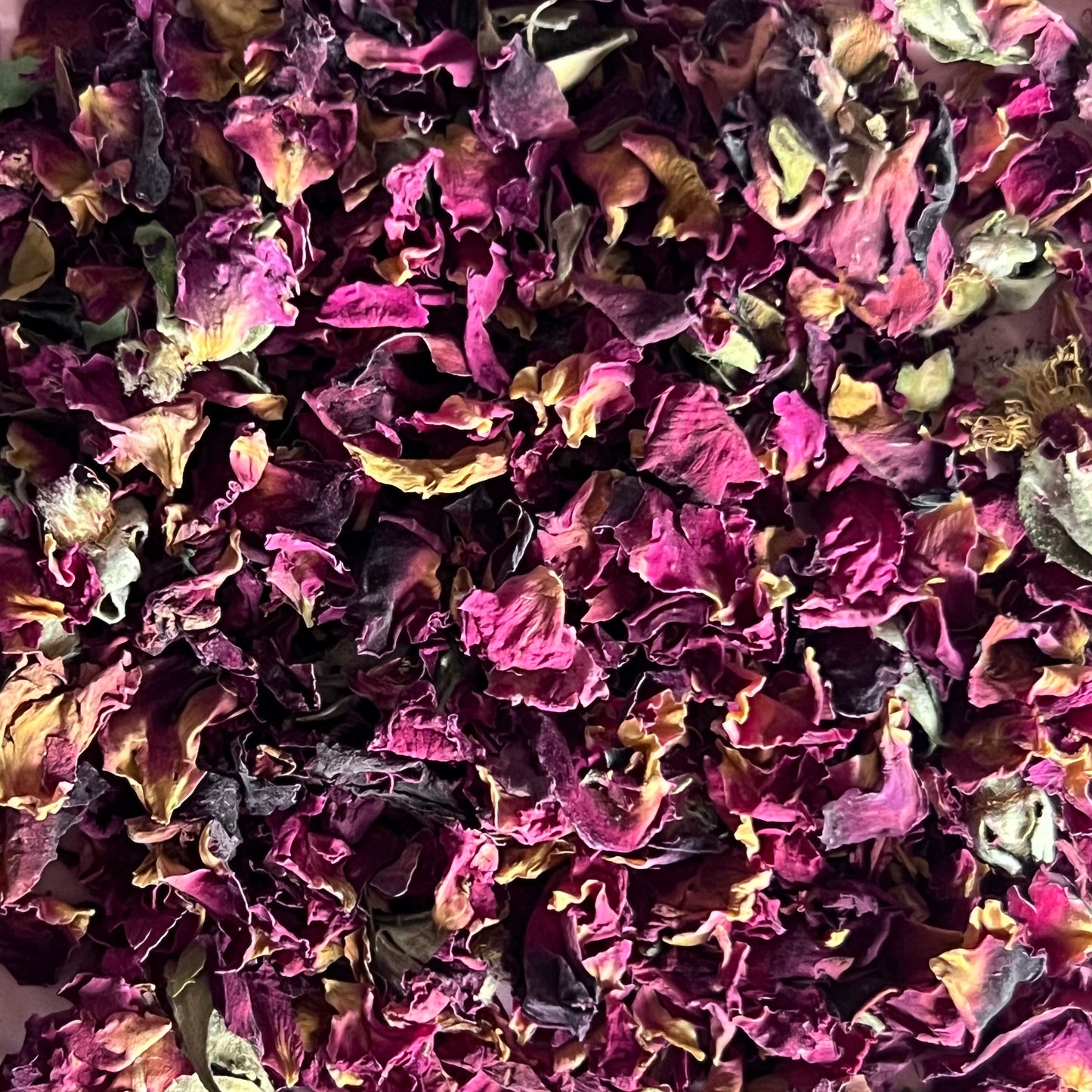rose