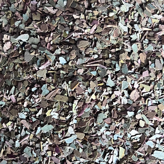 eucalyptus leaf