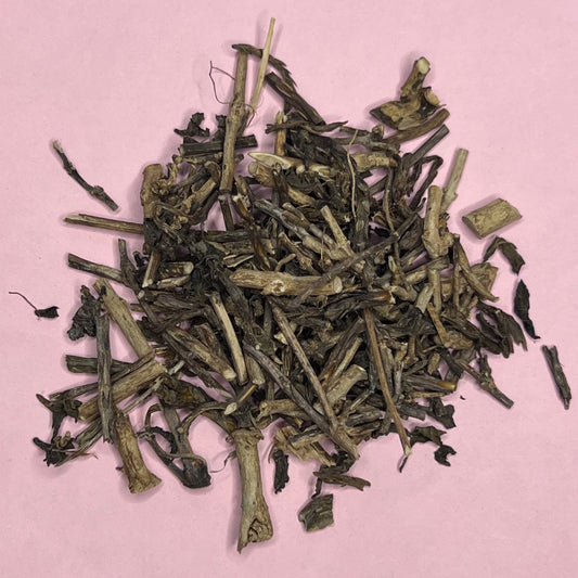 blue vervain