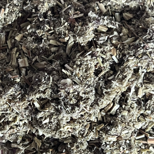 mugwort