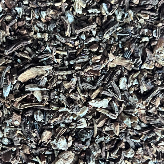 angelica root